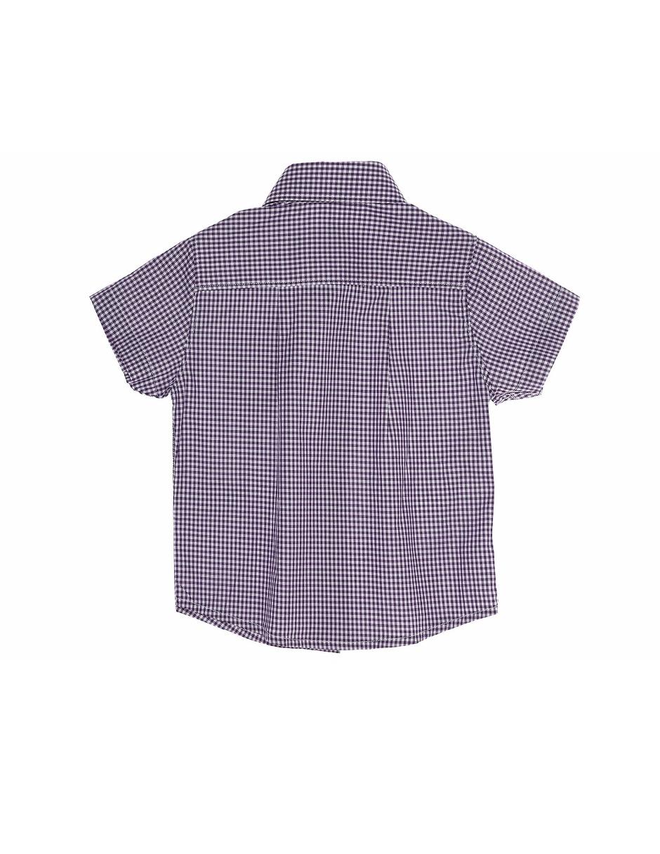Violeta