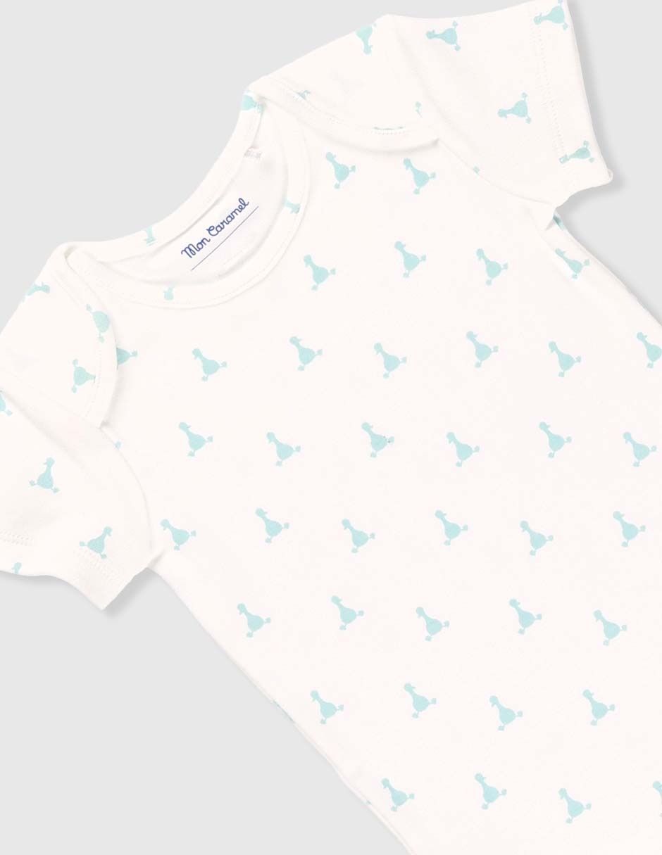 Set body 11